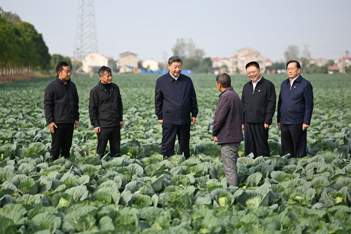https://img-xhpfm.xinhuaxmt.com/News/202411/98367b9809194add9e698f83c79c9653.jpg?x-oss-process=image/resize,w_1000/auto-orient,1/quality,Q_80